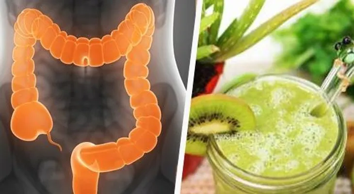 90 por ciento enfermedades son por un colon sucio. Aprende a limpiarlo
