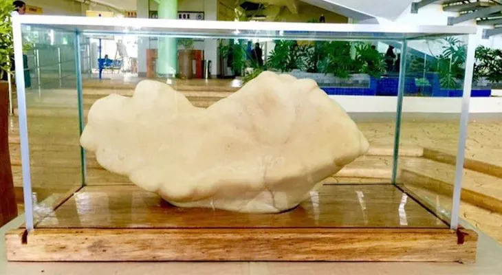 Esta enorme perla pesa 34 kilos, valdría 100 millones de dólares y estuvo bajo una cama durante 10 años