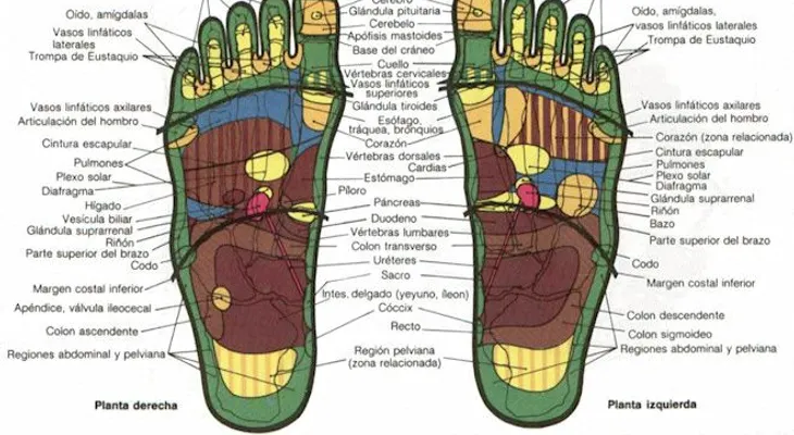 Masaje en los pies o reflexoterapia