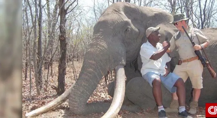 La caza de un enorme elefante en Zimbabwe fue legal, pero ¿acaso fue algo ético?