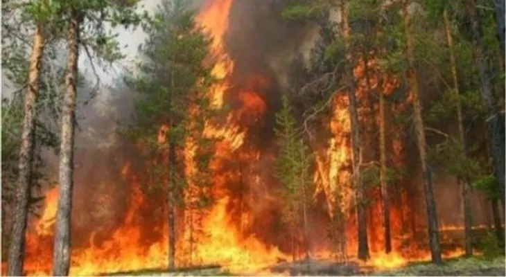 Dirección Valle Nuevo se suma a labores para sofocar incendio