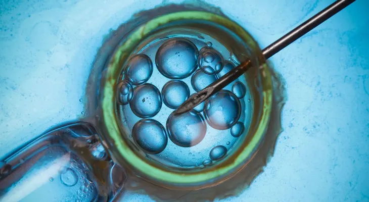 Escándalo en España: dos niños quedaron sin padre por un error en la fertilización in vitro