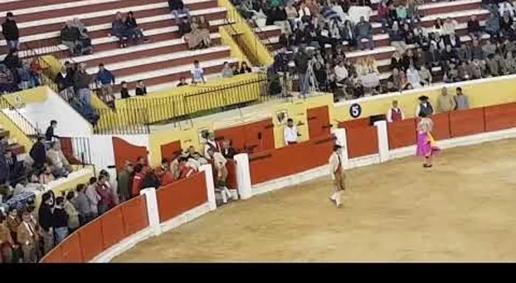 La cornada que dejó sin vida a un torero en Portugal