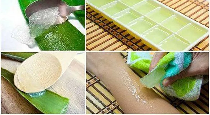 Los beneficios de congelar aloe vera o sábila