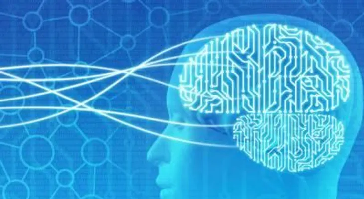 ¿Cómo cambia el cerebro humano cuando lo entrenamos?