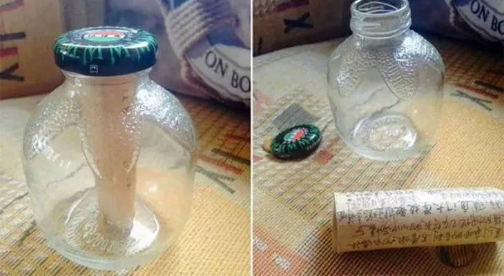 "Adiós, cariño mío": Encuentran un mensaje de amor en una botella que viajó más de 9.000 kilómetros