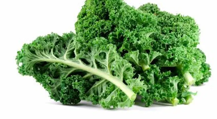 Lechuga rizada, un súper vegetal