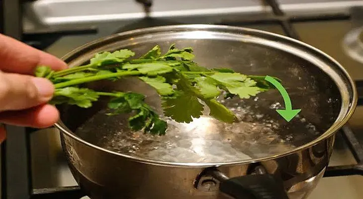 Uso cilantro en mi agua diariamente para ahorrarme un montón de dinero...