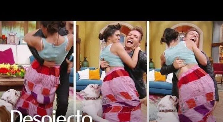 Francisca Lachapel mordida por un perro en ?Despierta América?