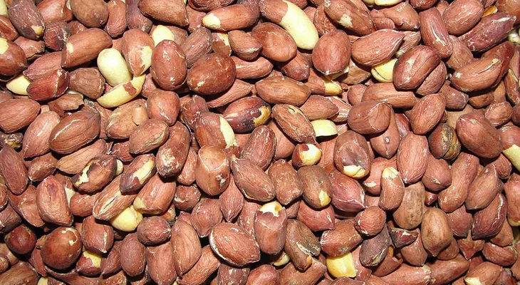 Un "superalimento" precolombino, la inesperada arma para luchar contra la desnutrición