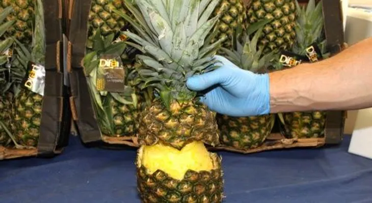 Incautan en España cocaína oculta en cargamento de piñas procedente de Costa Rica