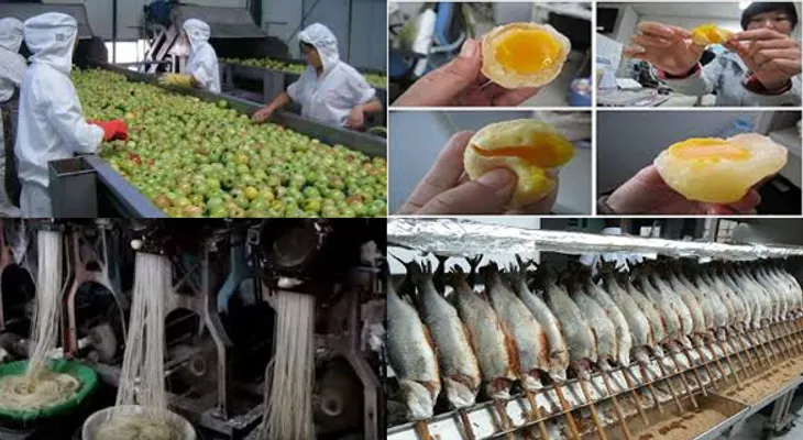 10 comidas hechas en China que contienen plástico, pesticidas y pueden causar Cáncer