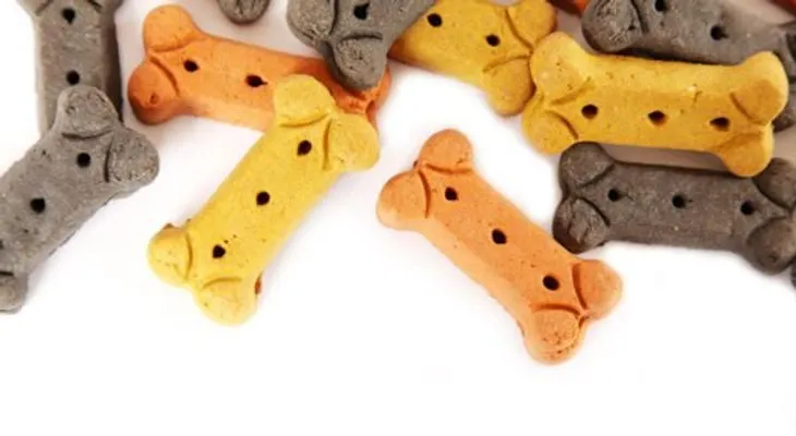 Galletas y dulces para perros: qué debes saber