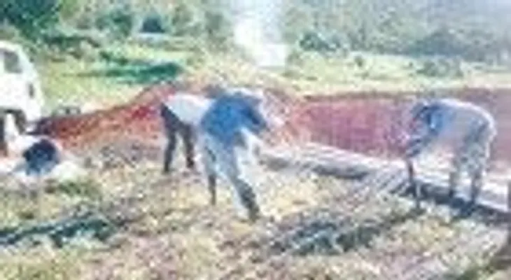 CAASD limpiará cañada El Arrozal y reforzará redes