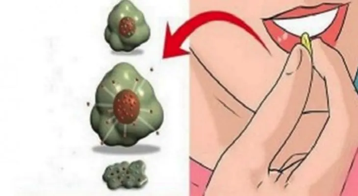 El cáncer muere cuando se comen estos 7 alimentos, es hora de empezar a comerlos!!