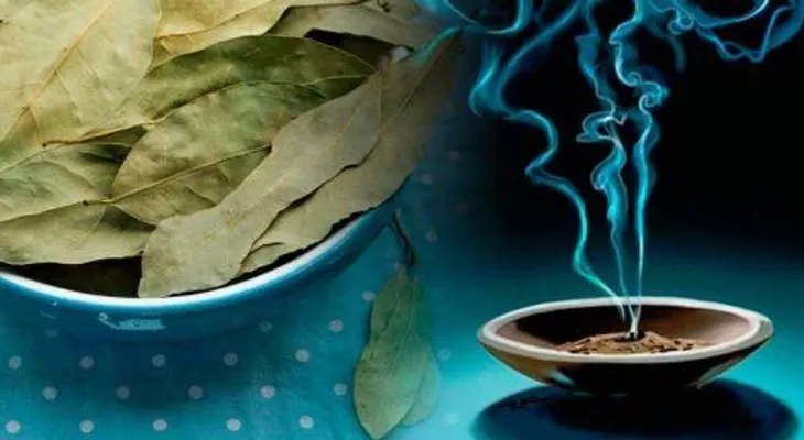 Laurel: un remedio milenario efectivo contra la ansiedad