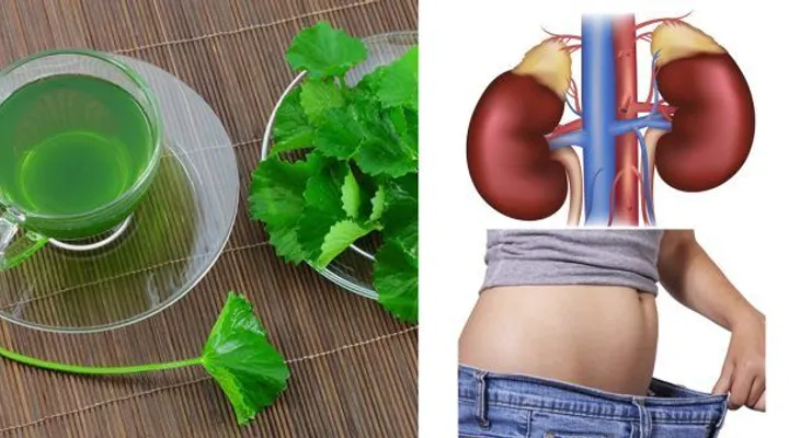 Remedio para eliminar lo que comiste en el día y desintoxicar el cuerpo