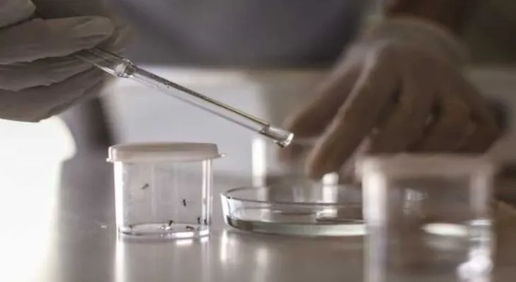 Detectan en Japón el primer caso de zika tras el brote en América