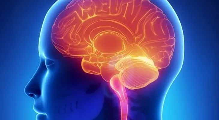 Científicos alertan "asesino silencioso" que vive en tu propia casa: puede causar diabetes, dañar los pulmones, el cerebro y el hígado