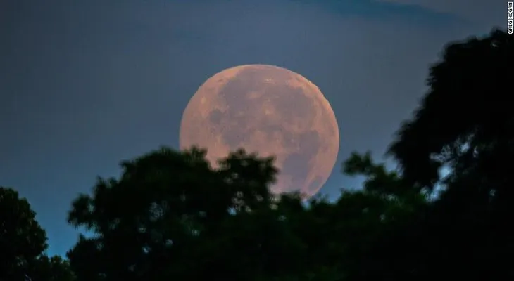 Se acerca una luna rosada; ¿qué es?