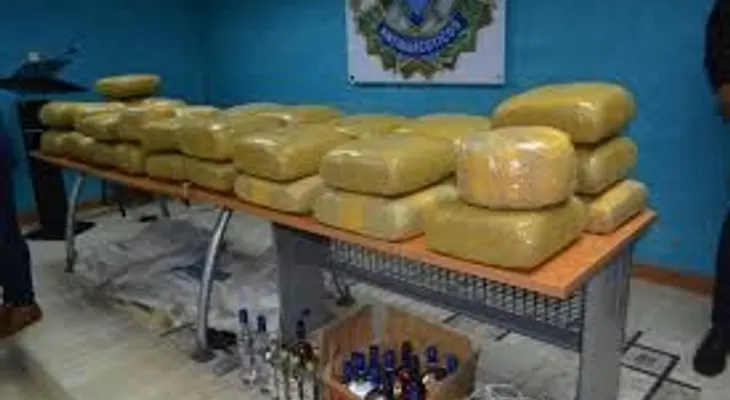 DICAN ocupa 25 paquetes presumiblemente de marihuana