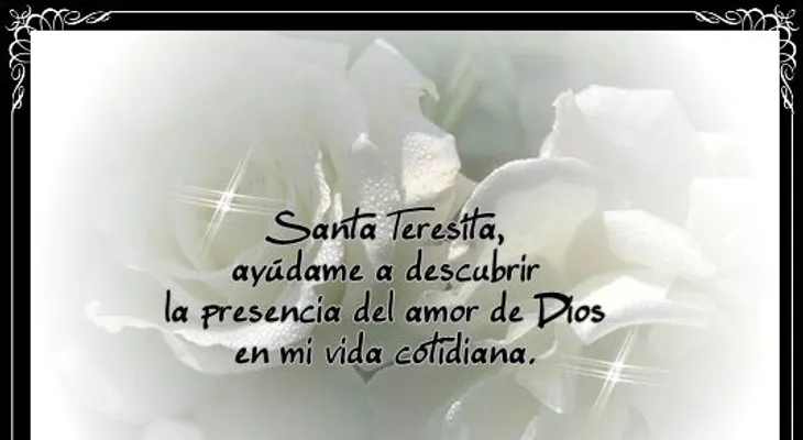 Rosas para el alma: Presencia