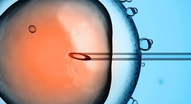 El bebé del mundo con ADN de tres padres
