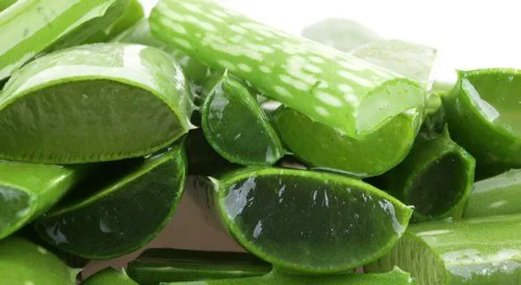 La gastritis podría volverse crónica: Razones por las qué deberías tomar aloe vera