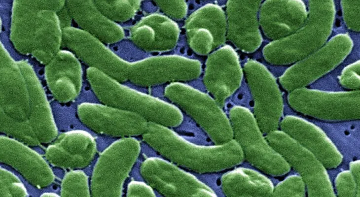 3 muertos por peligrosa bacteria come carne (Video)