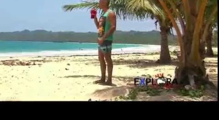 ¡Explora tu tierra! Playa Rincón