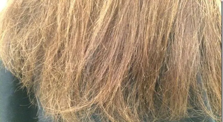 ¿Tu cabello tiene las puntas abiertas y quebradizas? Estas 3 cremas caseras te ayudan a restaurarlas
