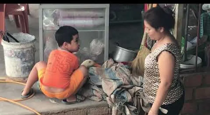 Emotivo momento cuando un niño trata de salvar a un pato de la matanza