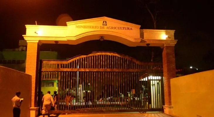 Agroempresarios piden Agricultura les permita retirar habichuela