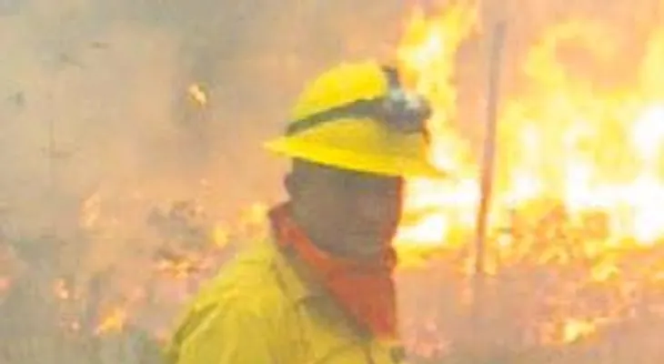Ministerio declara extinguido incendio forestal