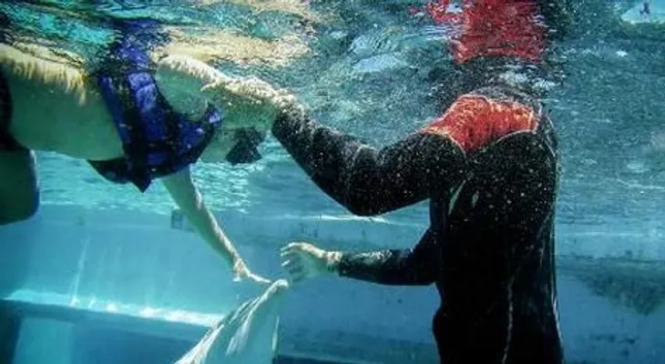 Delfines entrenados mejoran la vida de niños discapacitados 
