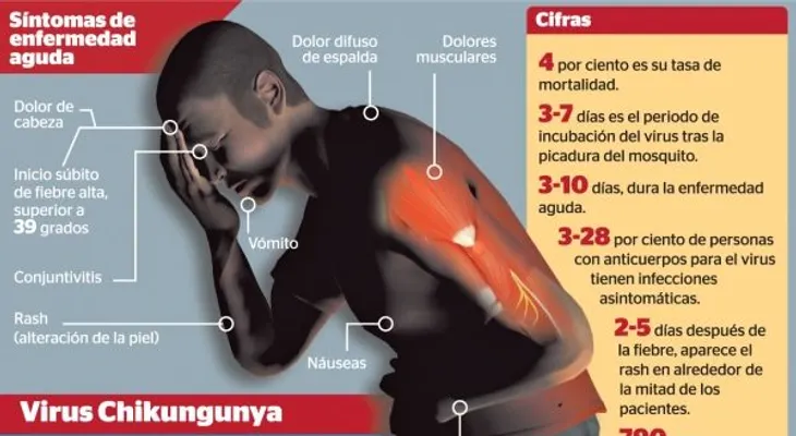 La chikungunya saca su cédula sin fecha de vencimiento