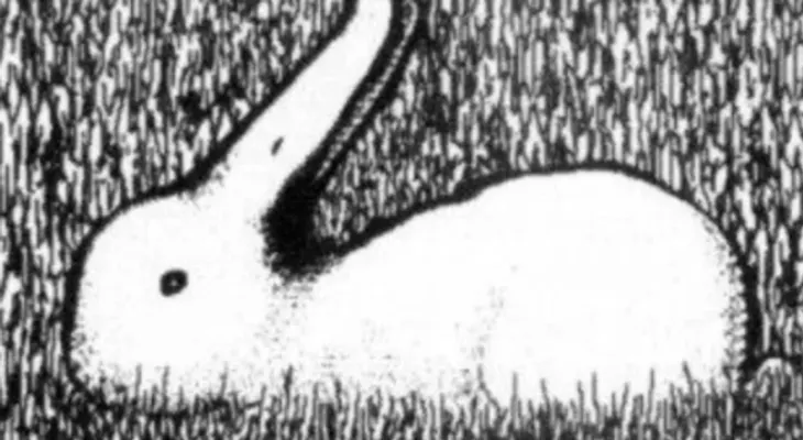 ¿Un pato o un conejo? Lo que veas primero revelará aspectos ocultos de tu personalidad.