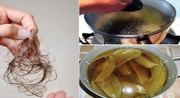Cómo detener completamente la perdida de pelo. Crecerá más fuerte, rápido y naturalmente!!!
