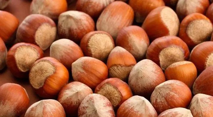 Las avellanas pueden reducir el riesgo de colesterol alto; otras propiedades