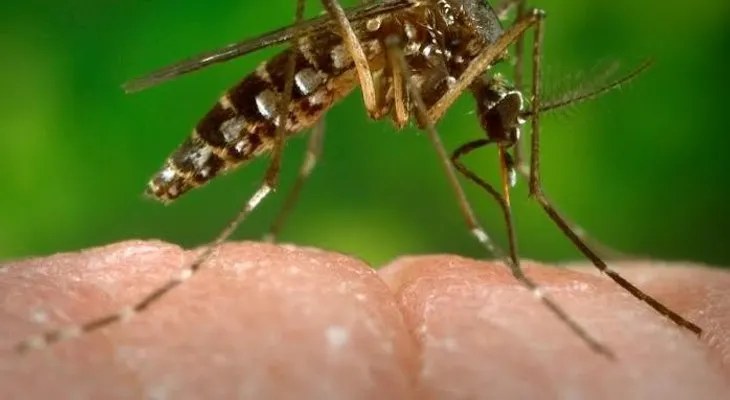 Dirección Provincial de Salud realiza operativo con el Zikas Virus