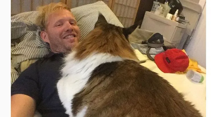 El gato más grande de Nueva York conquista la Red