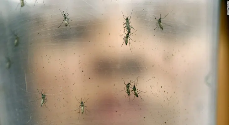 Confirman dos casos más de zika en España, entre ellos una mujer embarazada
