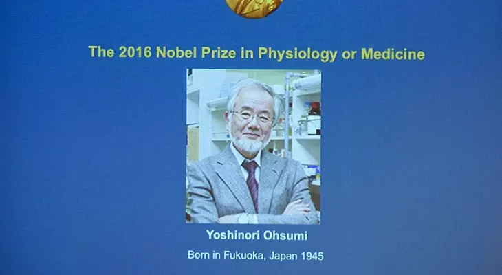 Yoshinori Ohsumi, Premio Nobel de Medicina