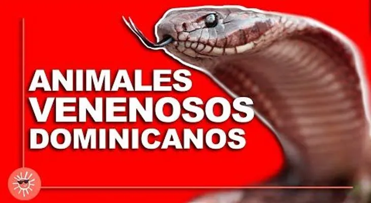 Animales venenosos de República Dominicana