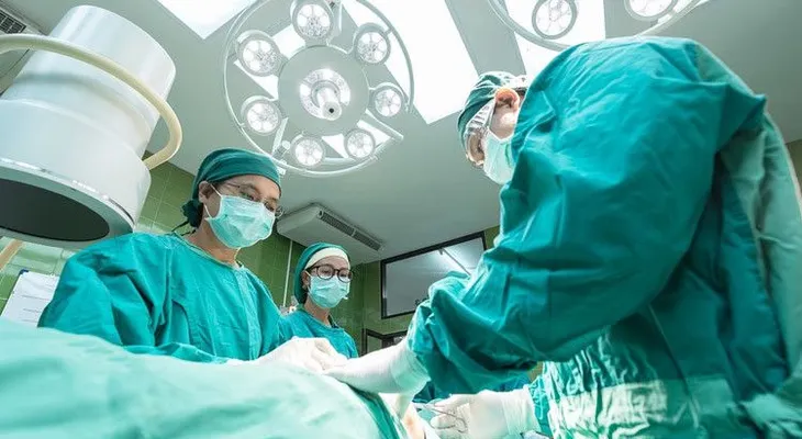 "Tenemos un órgano en el cuerpo que no ha sido reconocido como tal hasta la fecha"