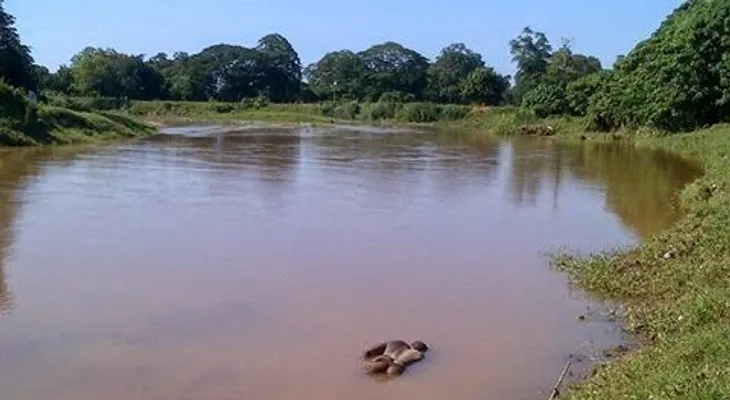Hallan muerto haitiano en río Masacre