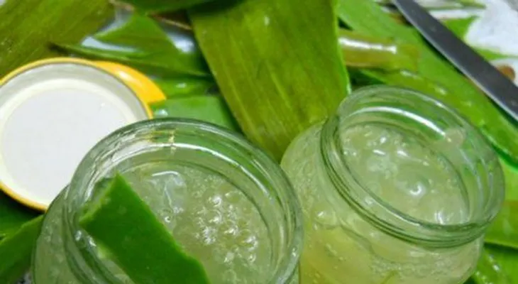 Gel rejuvenecedor de sábila y pepino (VIDEO)
