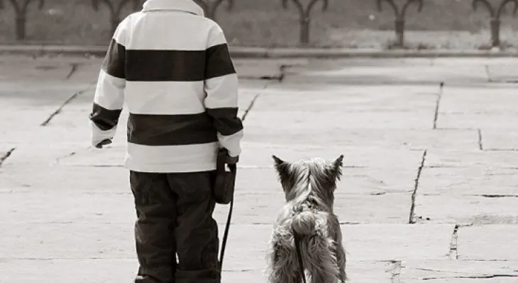 Los niños con perros o hermanos son más independientes