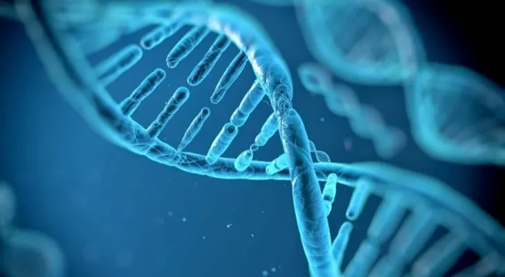 Así lo dicta el ADN: Las diez cosas que se heredan 