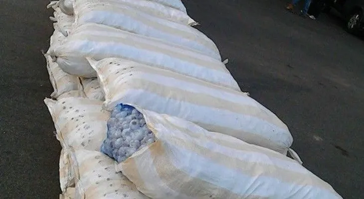 Ejército decomisa furgón con contrabando de 362 sacos de ajo
